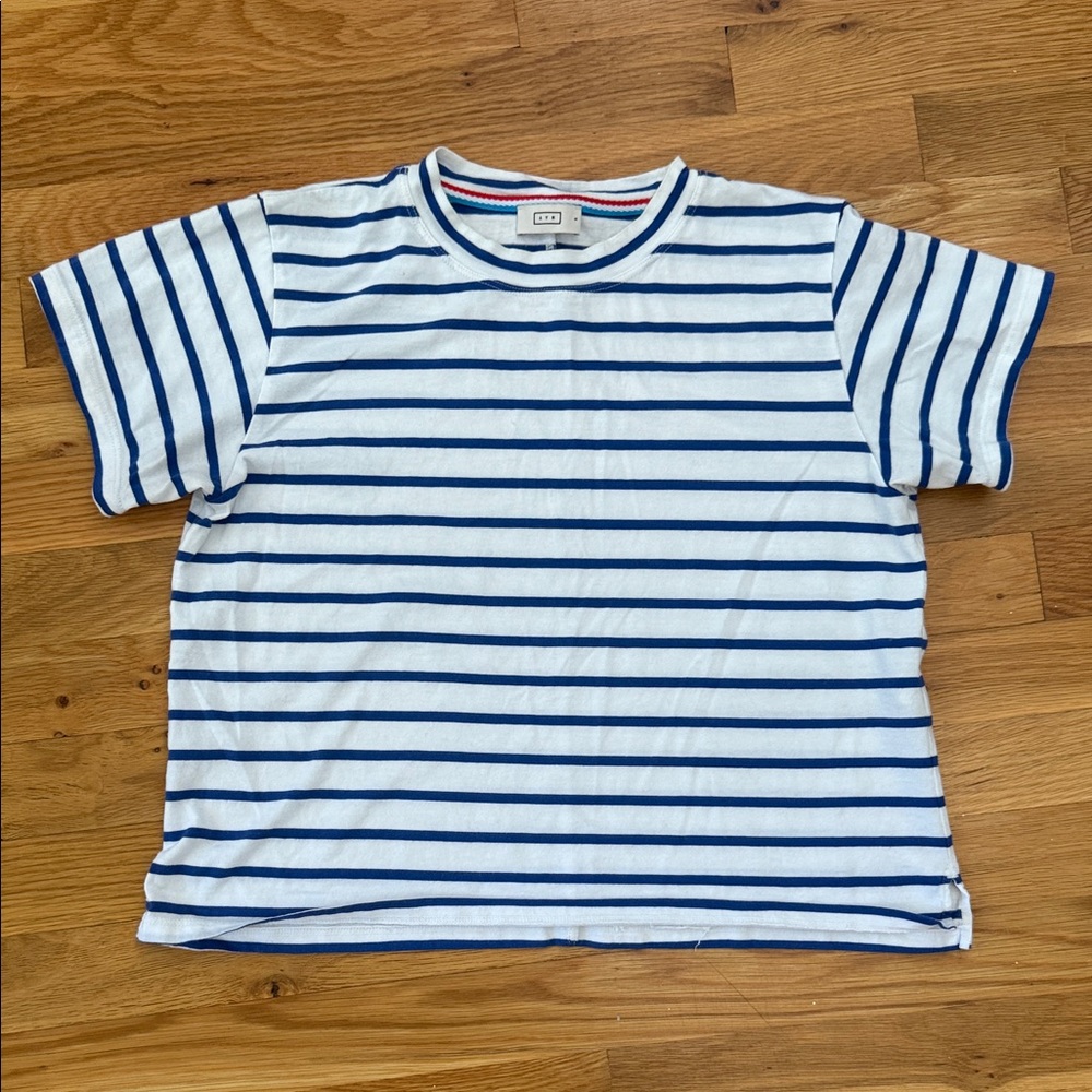 AYR Blue Striped Parker Classic Tee